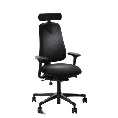 HM380 | Back Care Ergonomic Chair For Back Pain