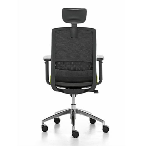 ErgoX2 w/Neckrest Chair Black | Ergonomic Office Chair