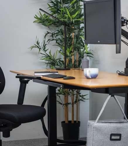 sit-stand-solutions