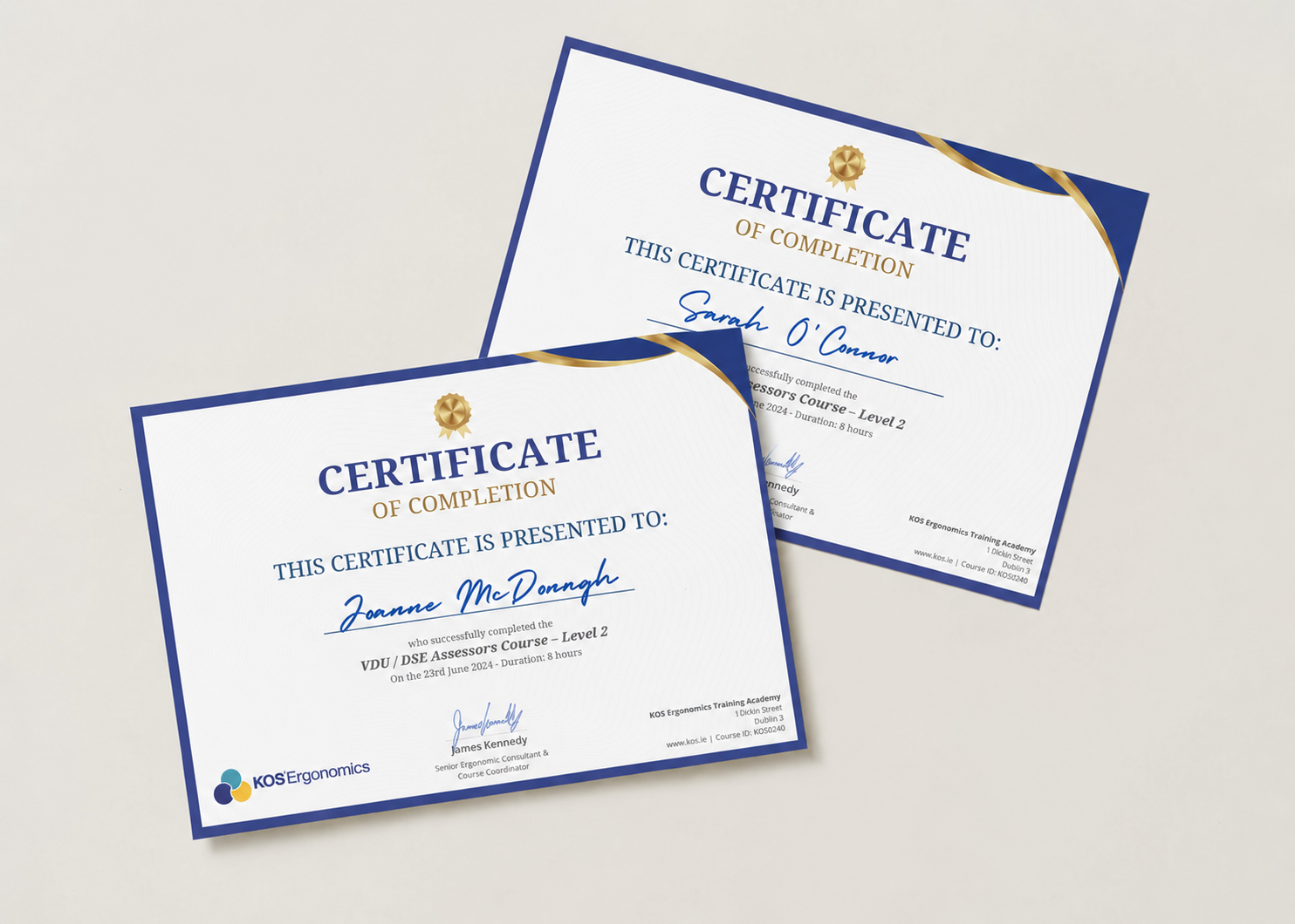 certified VDU DSE training courses ireland