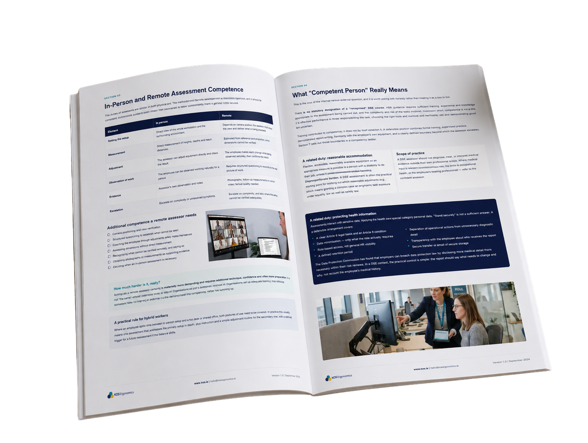 The KOS guide Internal, External or Hybrid DSE Assessors?