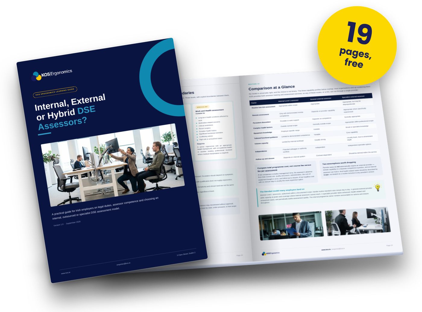 Internal vs External DSE Assessor Models guide by KOS Ergonomics