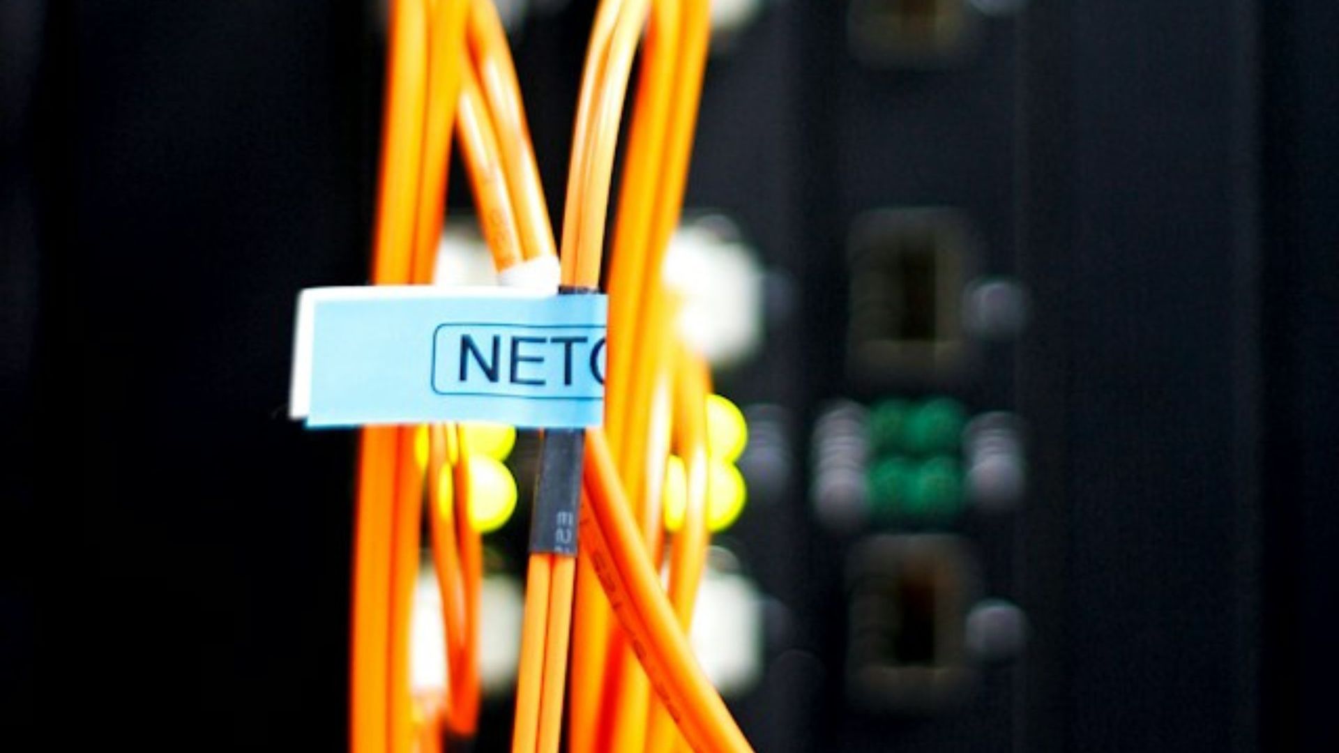 Cable-management-labelled-cables