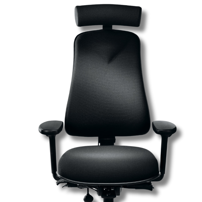 HM380 Back Care Ergonomic Chair