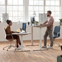 Scandic-Desk | Electric Sit-Stand Desk | Fully Customisable