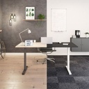 Scandic-Desk | Electric Sit-Stand Desk | Fully Customisable