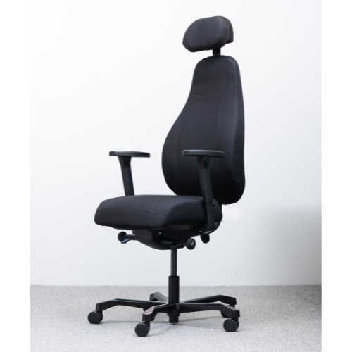 Invictus PI 4000 | back care office chair