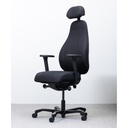 Invictus PI 4000 | back care office chair