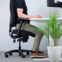 Opra 400 | Back Care Ergonomic Chair