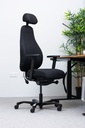 Invictus PI 4000 | Back Care Office Chair | Leather Headrest