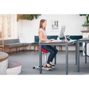 BackApp 2.0 Balance Saddle