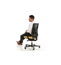 Revive Ergo AIR II Mesh Office Chair K303S | Ergonomic Office Chair