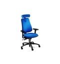 HM380 Whiplash Office Chair | Back Care Ergonomic Chair