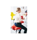 HAG CAPISCO 8106 | Ergonomic Office Chair