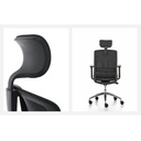 ErgoX2 w/Neckrest Chair Black | Ergonomic Office Chair