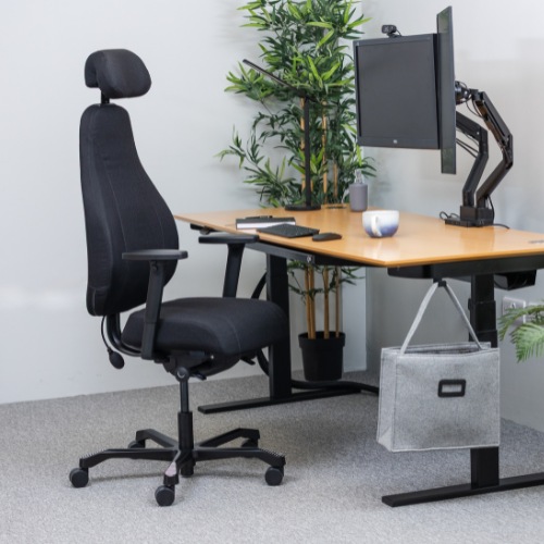 Invictus PI 4000 | Back Care Office Chair