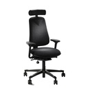 HM380 | Back Care Ergonomic Chair For Back Pain