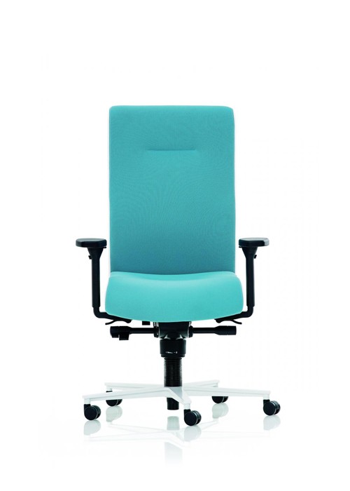 Revive Ergonomic Balans Chair 3D B402 | Ergonomic Office Chair