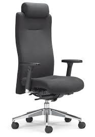 Revive Ergo Executive Chair with Neckrest K304