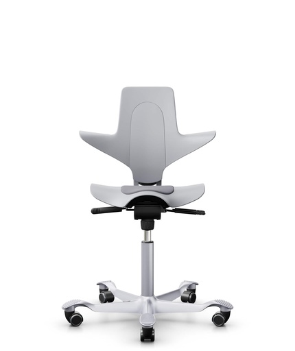 HÅG Capisco Puls 8010 ergonomic task chair