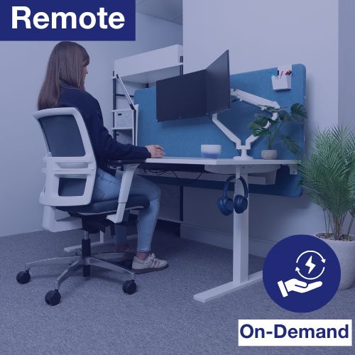 Remote | Compliance 30 Minute DSE Assessment | On-Demand