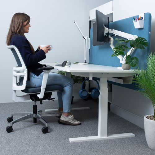 Online Level 1 DSE & VDU Course | Beginner