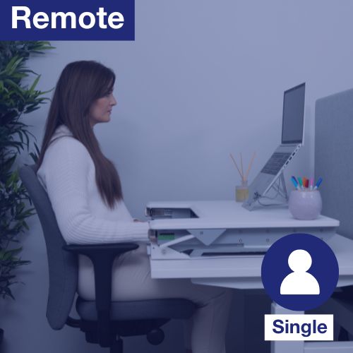 Remote | 45 Minute DSE Assessment | Single Remote DSE Assessment