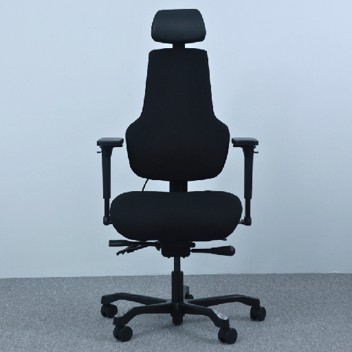 Fortis PI 400 | Back Care Office Chair